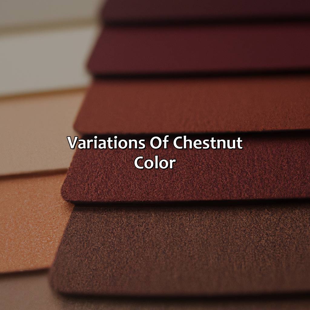 Variations Of Chestnut Color  - What Color Is Chestnut, 