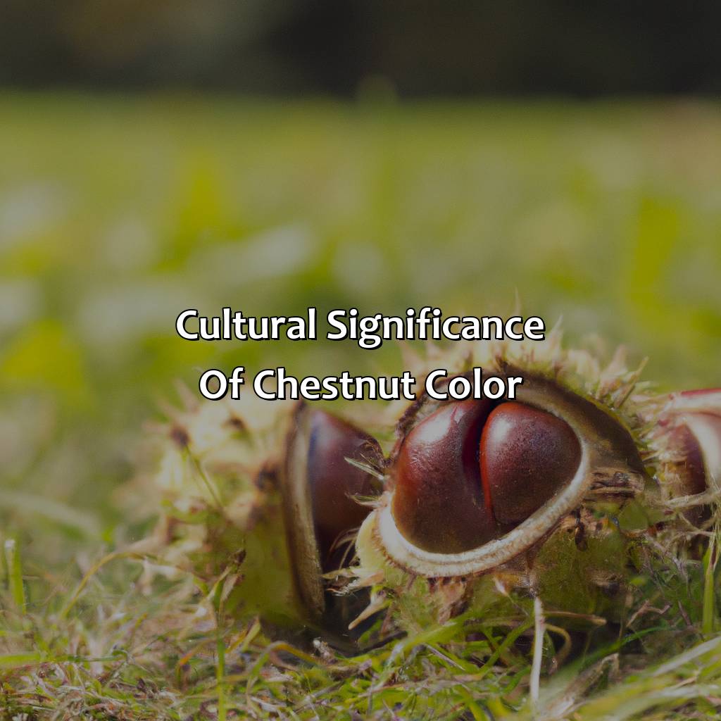 Cultural Significance Of Chestnut Color  - What Color Is Chestnut, 