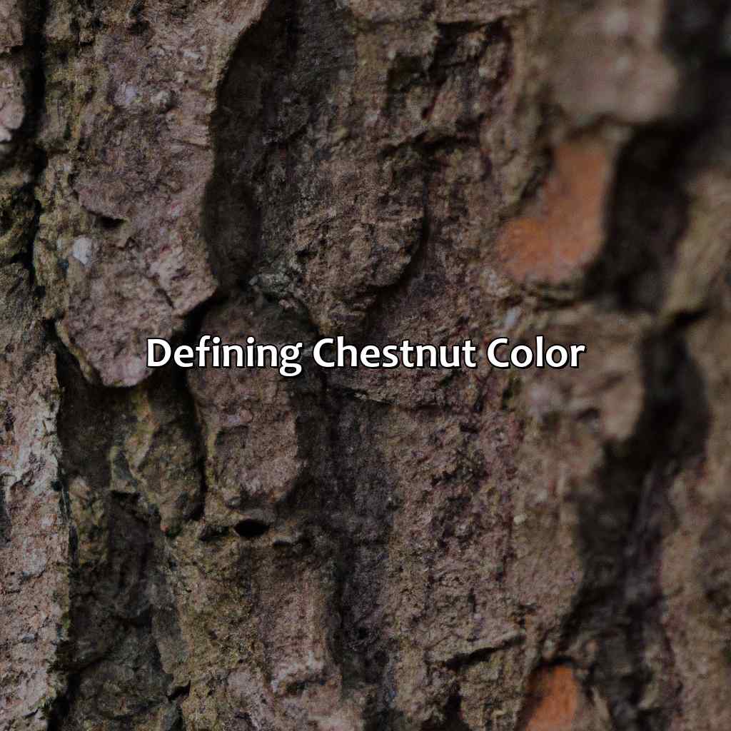 Defining Chestnut Color  - What Color Is Chestnut, 