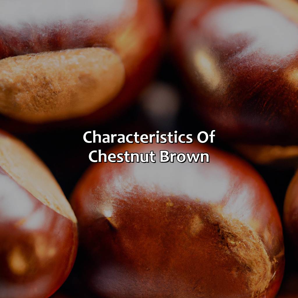 Characteristics Of Chestnut Brown  - What Color Is Chestnut Brown, 