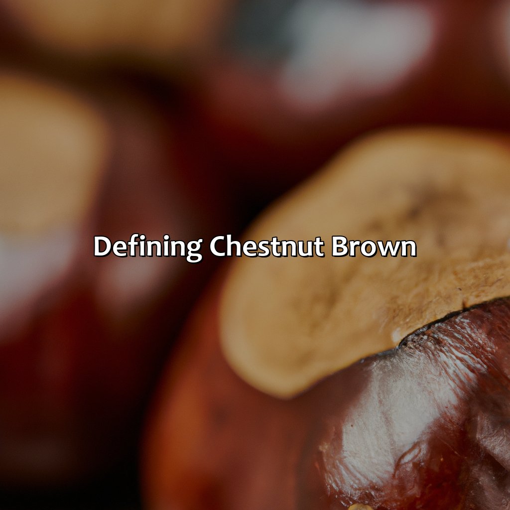 Defining Chestnut Brown  - What Color Is Chestnut Brown, 