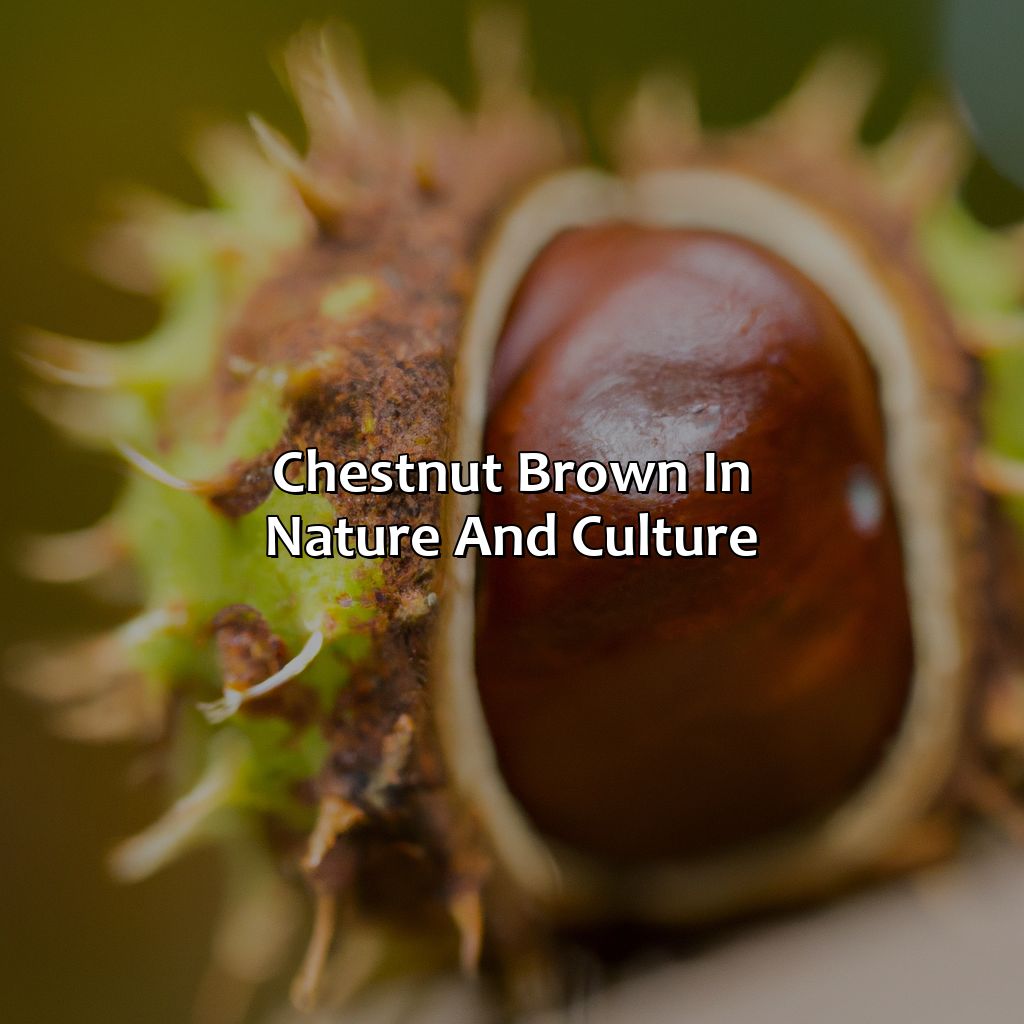 Chestnut Brown In Nature And Culture  - What Color Is Chestnut Brown, 