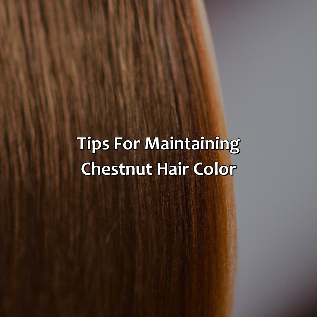 Tips For Maintaining Chestnut Hair Color  - What Color Is Chestnut Hair, 