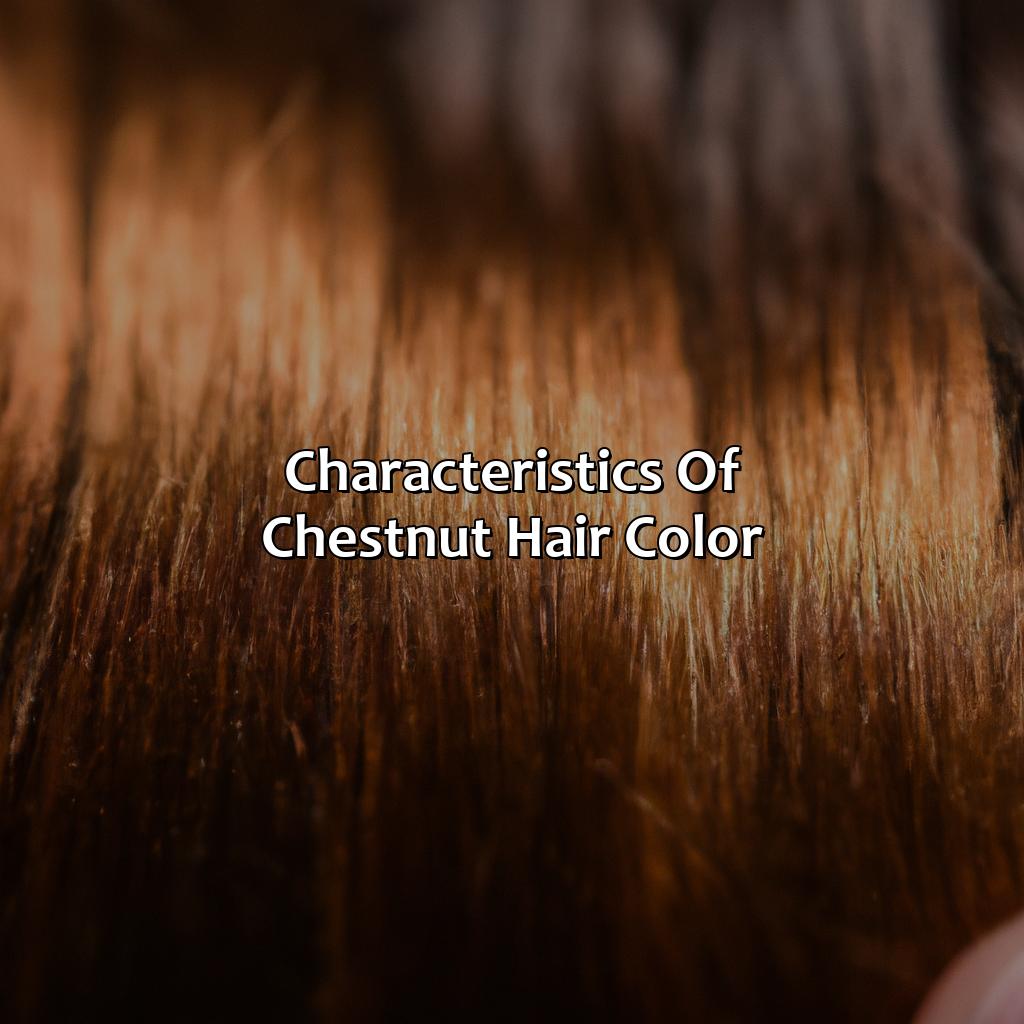 Characteristics Of Chestnut Hair Color  - What Color Is Chestnut Hair, 