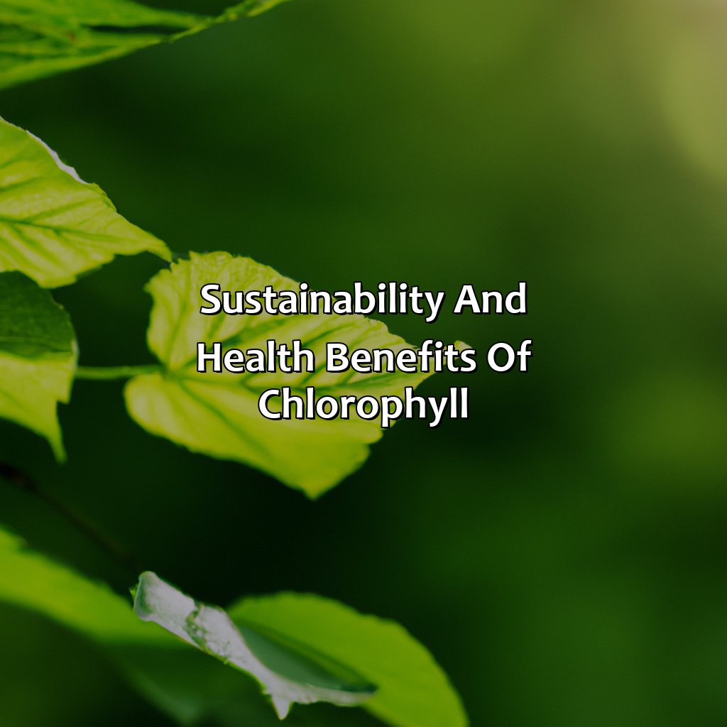 Sustainability And Health Benefits Of Chlorophyll  - What Color Is Chlorophyll, 
