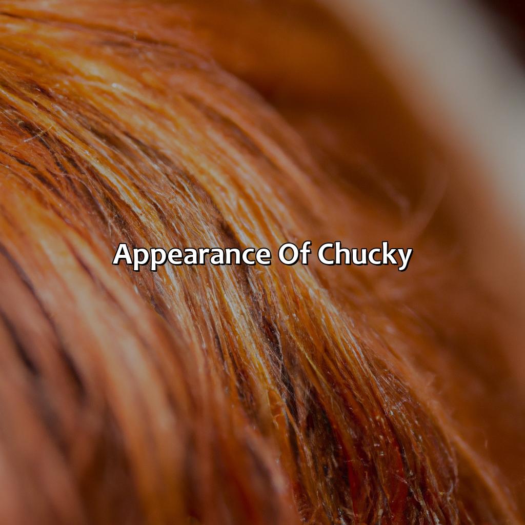 Appearance Of Chucky  - What Color Is Chucky