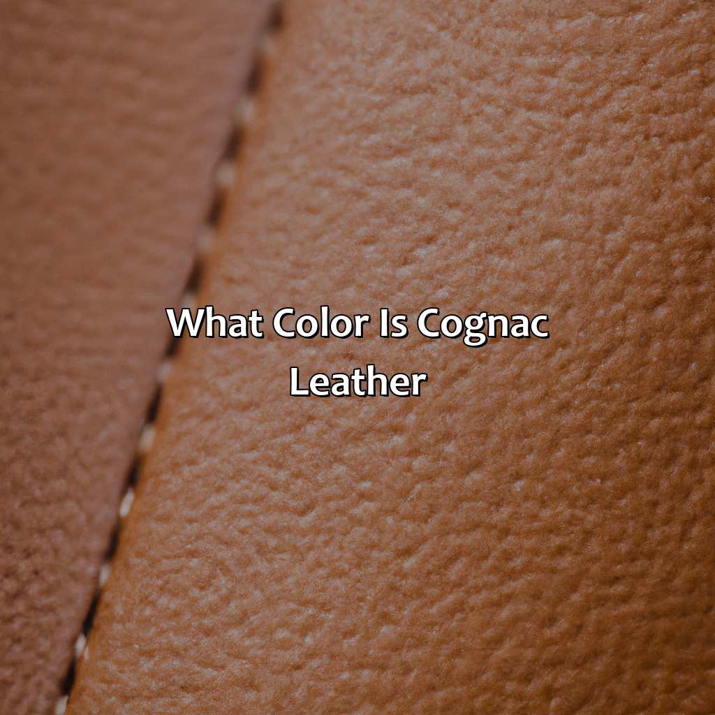 What Color Is Cognac Leather - colorscombo.com