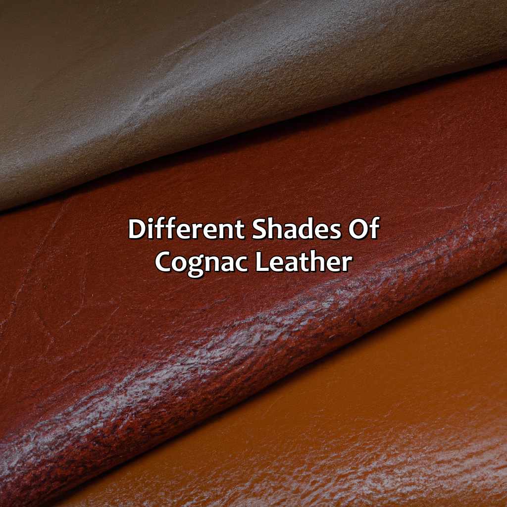 Different Shades Of Cognac Leather - What Color Is Cognac Leather, 