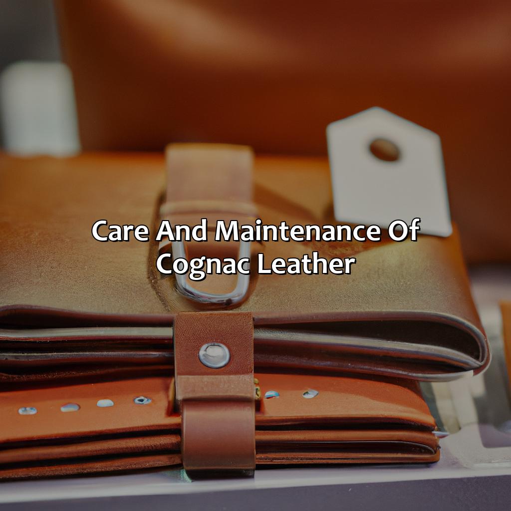 Care And Maintenance Of Cognac Leather - What Color Is Cognac Leather, 