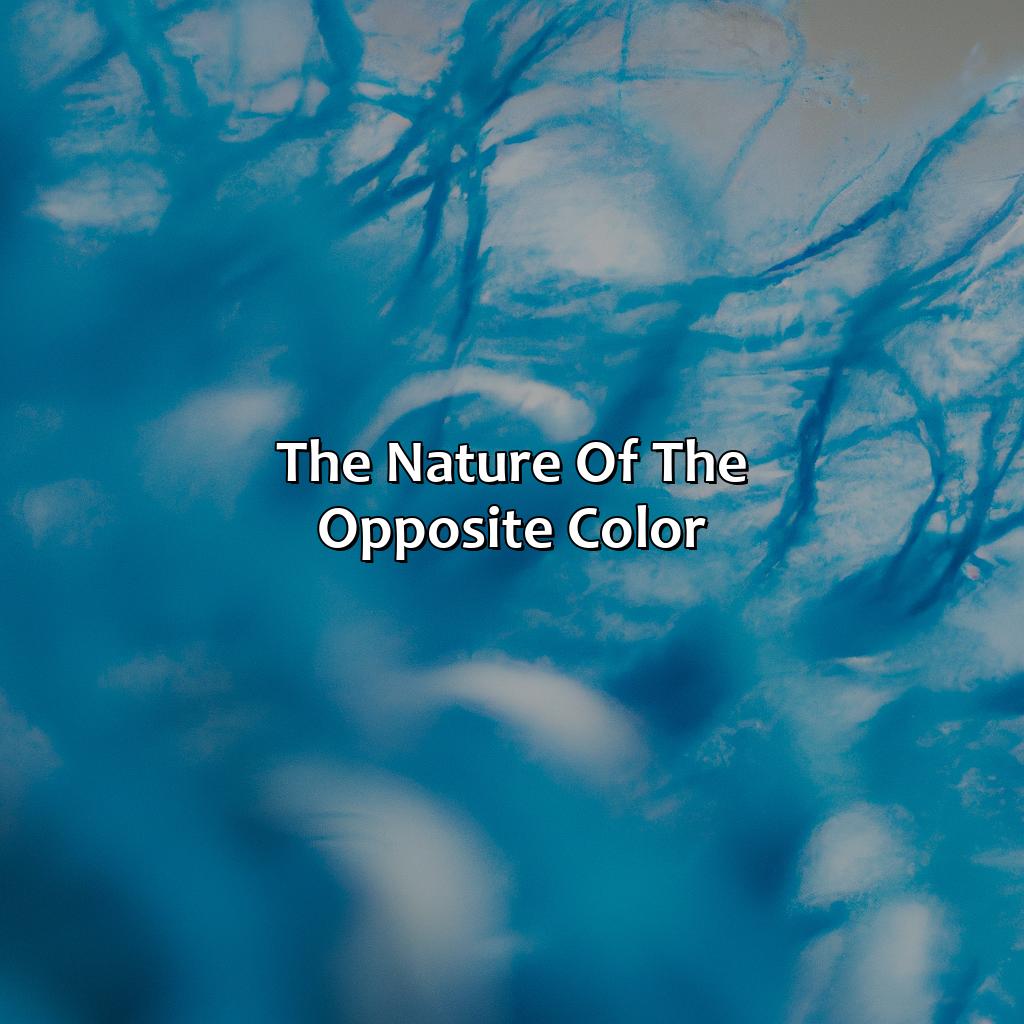 The Nature Of The Opposite Color  - What Color Is Complementary To Blue, 
