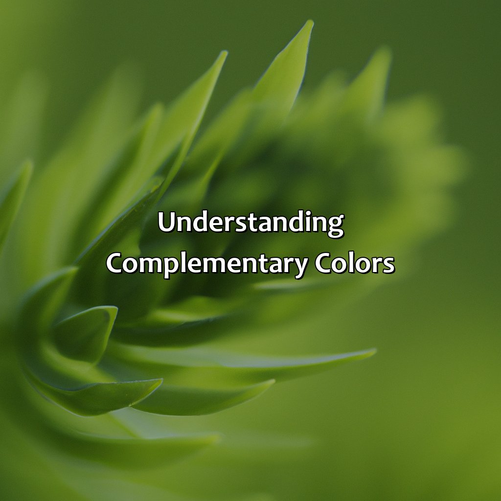 Understanding Complementary Colors  - What Color Is Complementary To Green, 