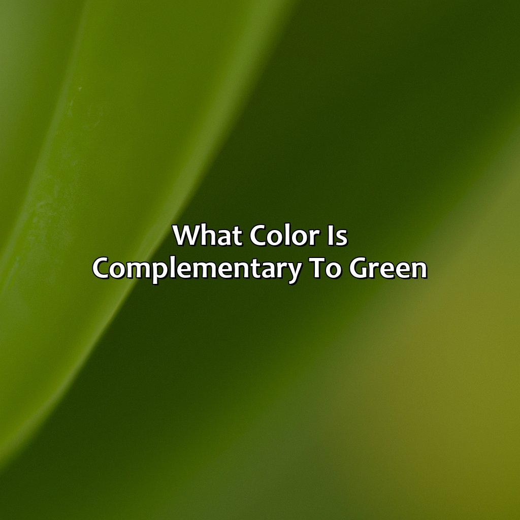 What Color Is Complementary To Green - colorscombo.com