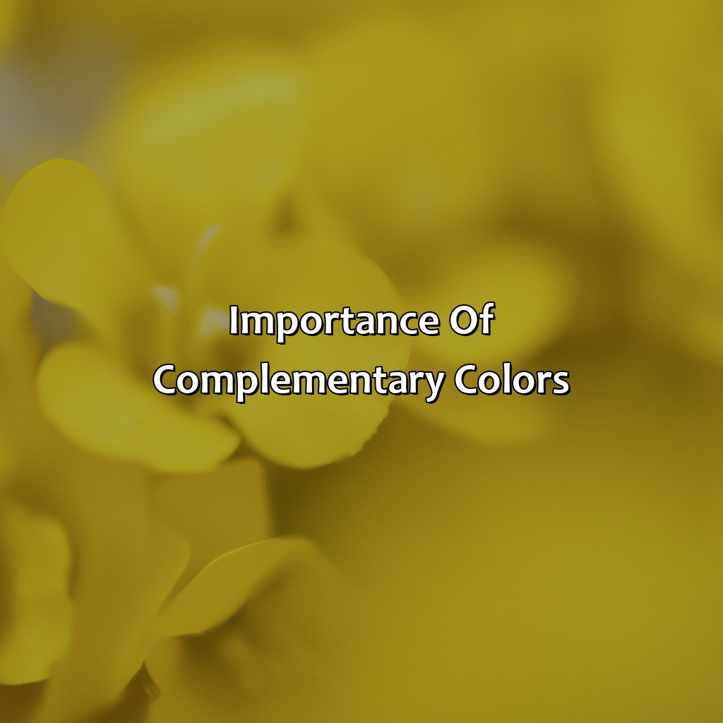 Importance Of Complementary Colors  - What Color Is Complementary To Yellow, 