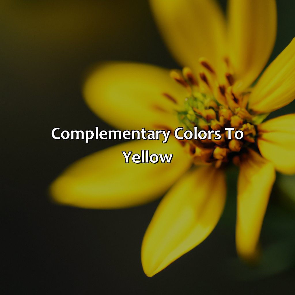 Complementary Colors To Yellow  - What Color Is Complementary To Yellow, 