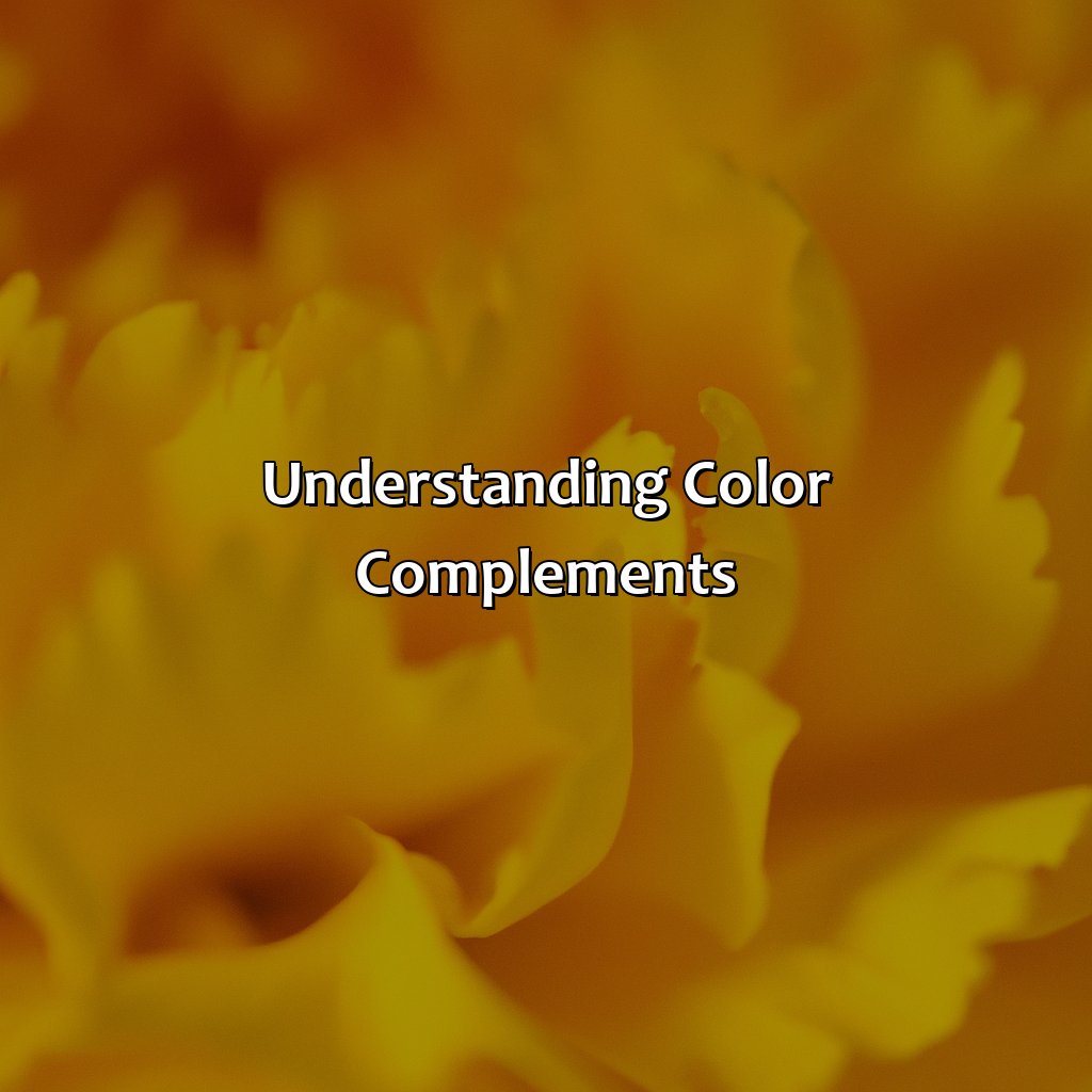 Understanding Color Complements  - What Color Is Complementary To Yellow, 