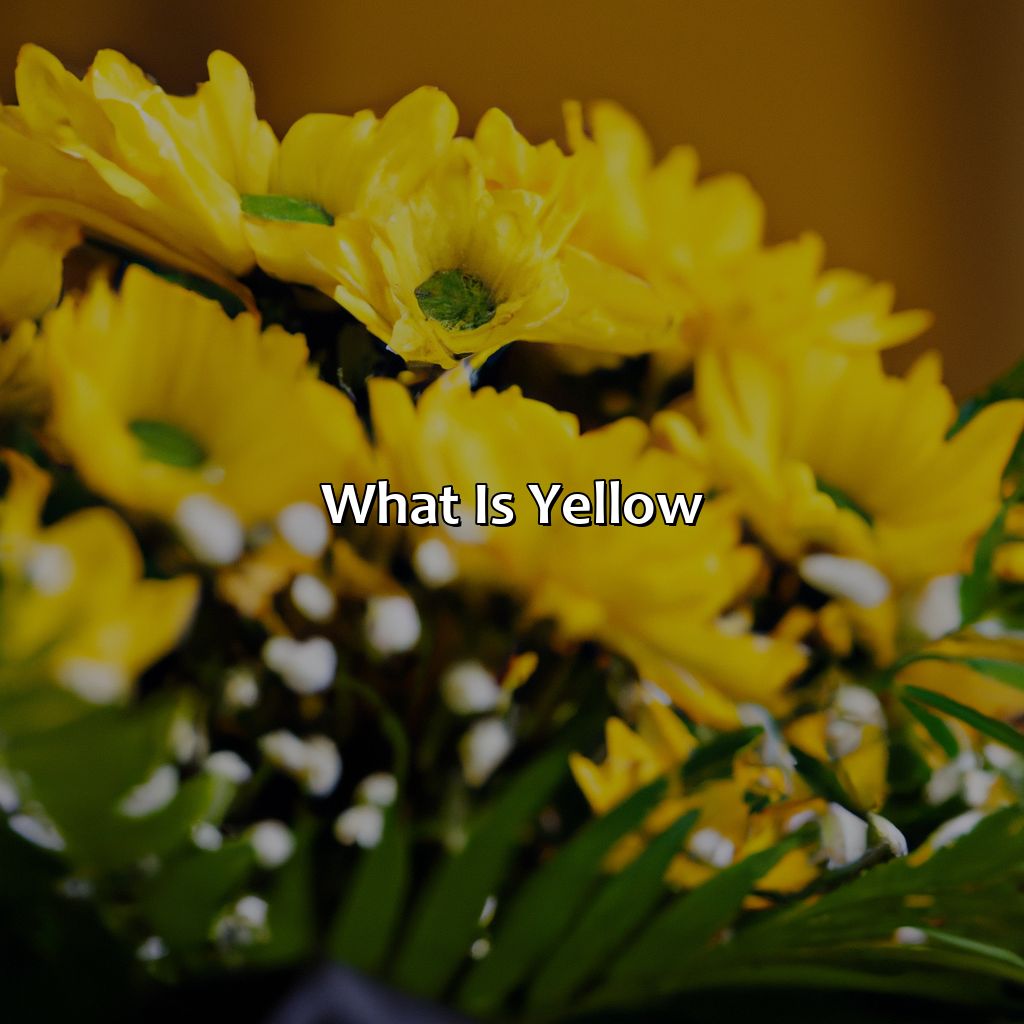 What Is Yellow?  - What Color Is Complementary To Yellow, 