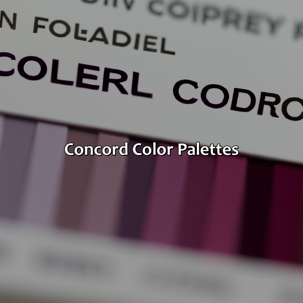 Concord Color Palettes  - What Color Is Concord, 