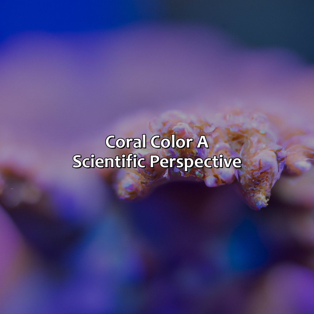 Coral Color: A Scientific Perspective  - What Color Is Coral, 