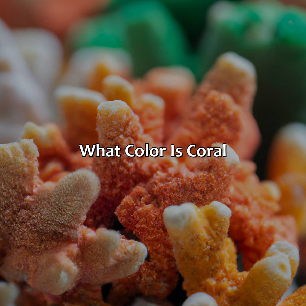 What Color Is Coral - colorscombo.com