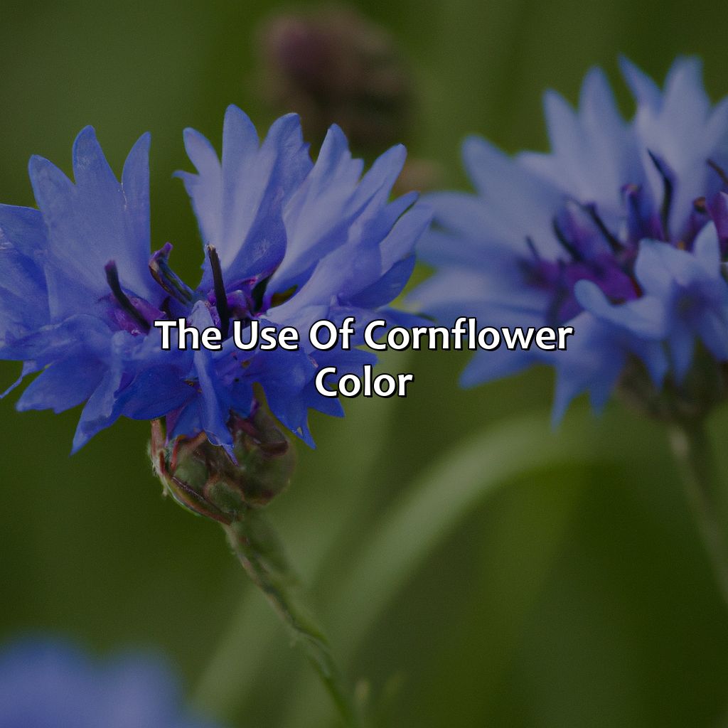 The Use Of Cornflower Color  - What Color Is Cornflower, 