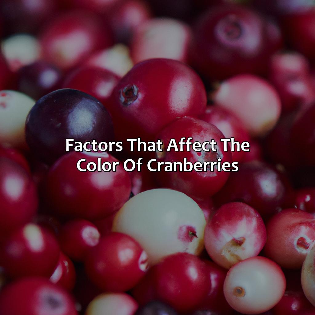 Factors That Affect The Color Of Cranberries  - What Color Is Cranberry, 