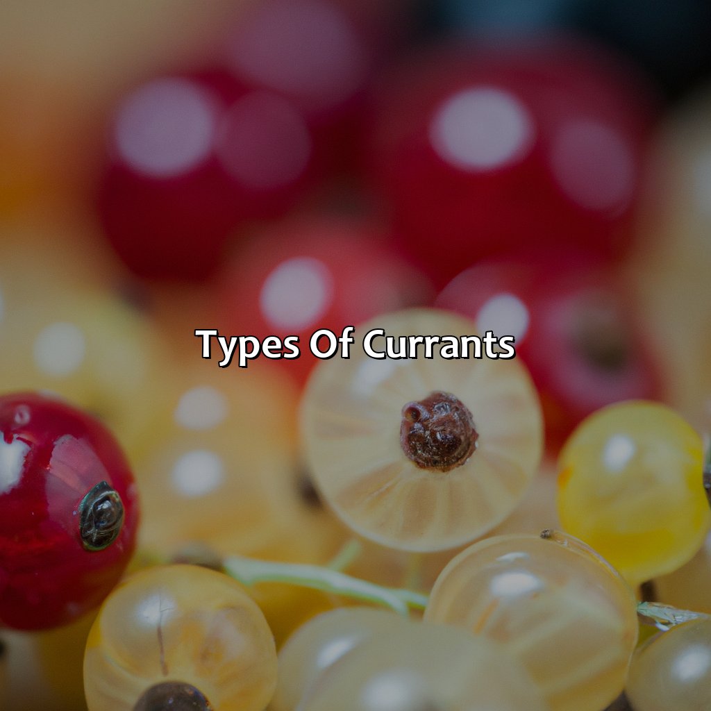 Types Of Currants - What Color Is Currant, 