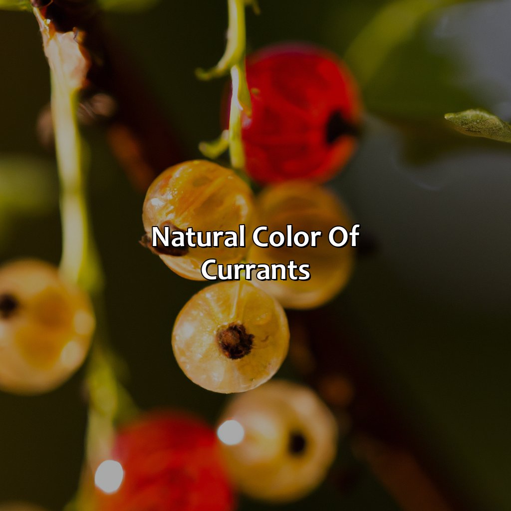 Natural Color Of Currants - What Color Is Currant, 