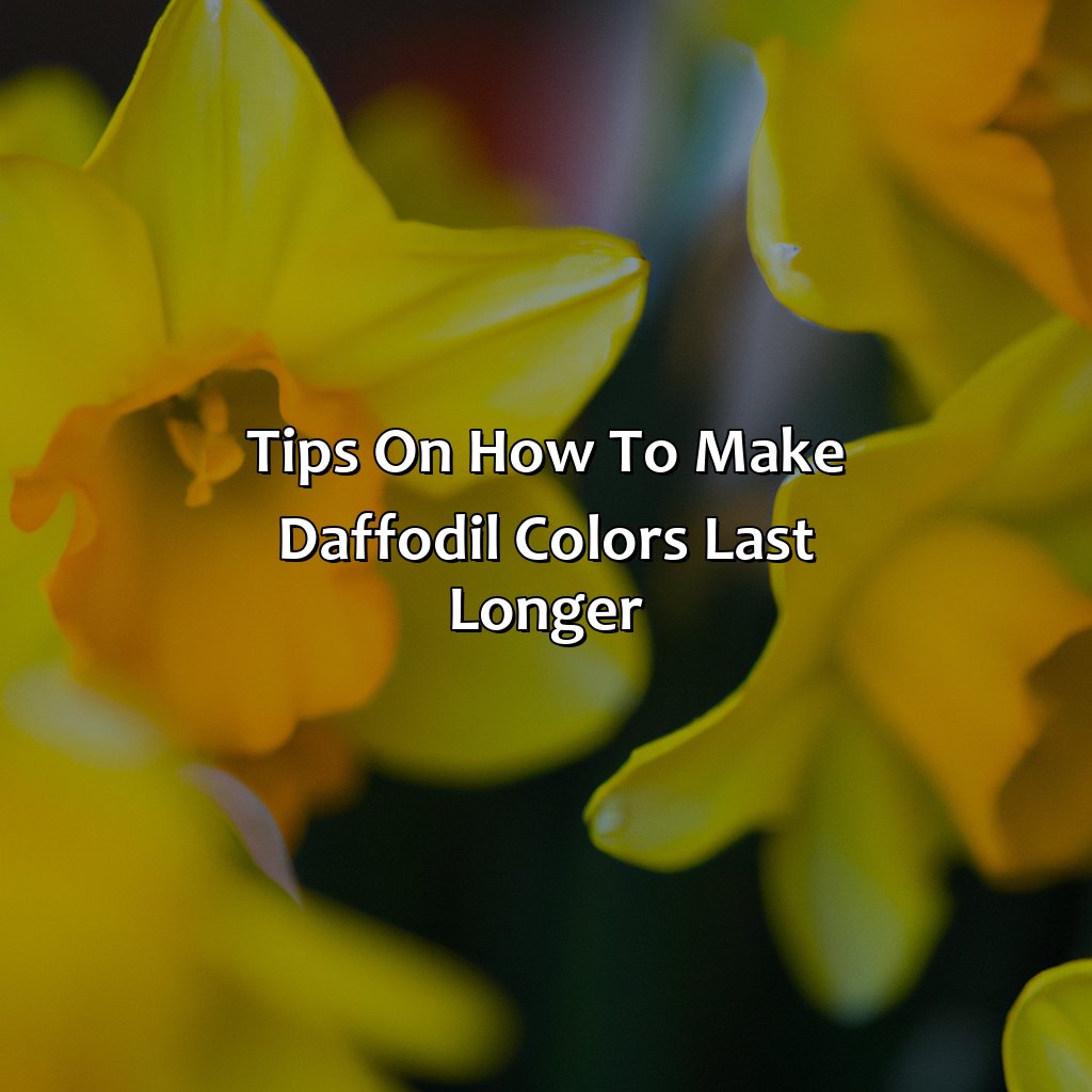 Tips On How To Make Daffodil Colors Last Longer  - What Color Is Daffodils, 