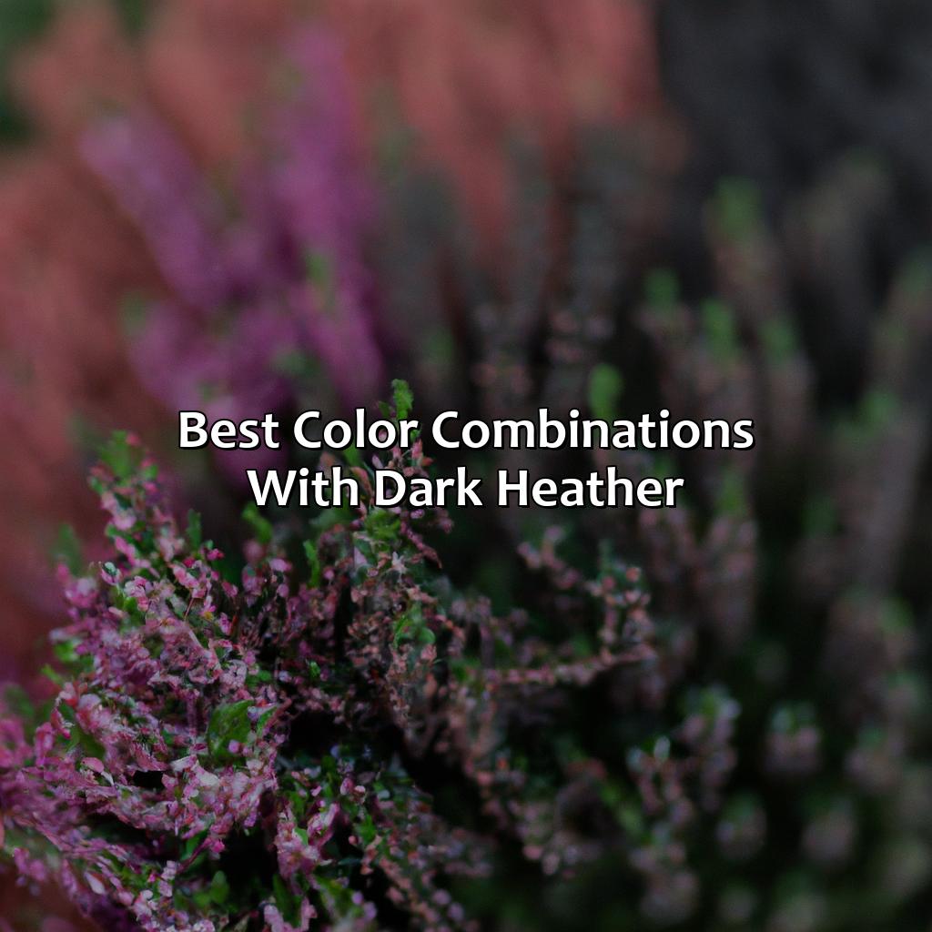 Best Color Combinations With Dark Heather  - What Color Is Dark Heather, 