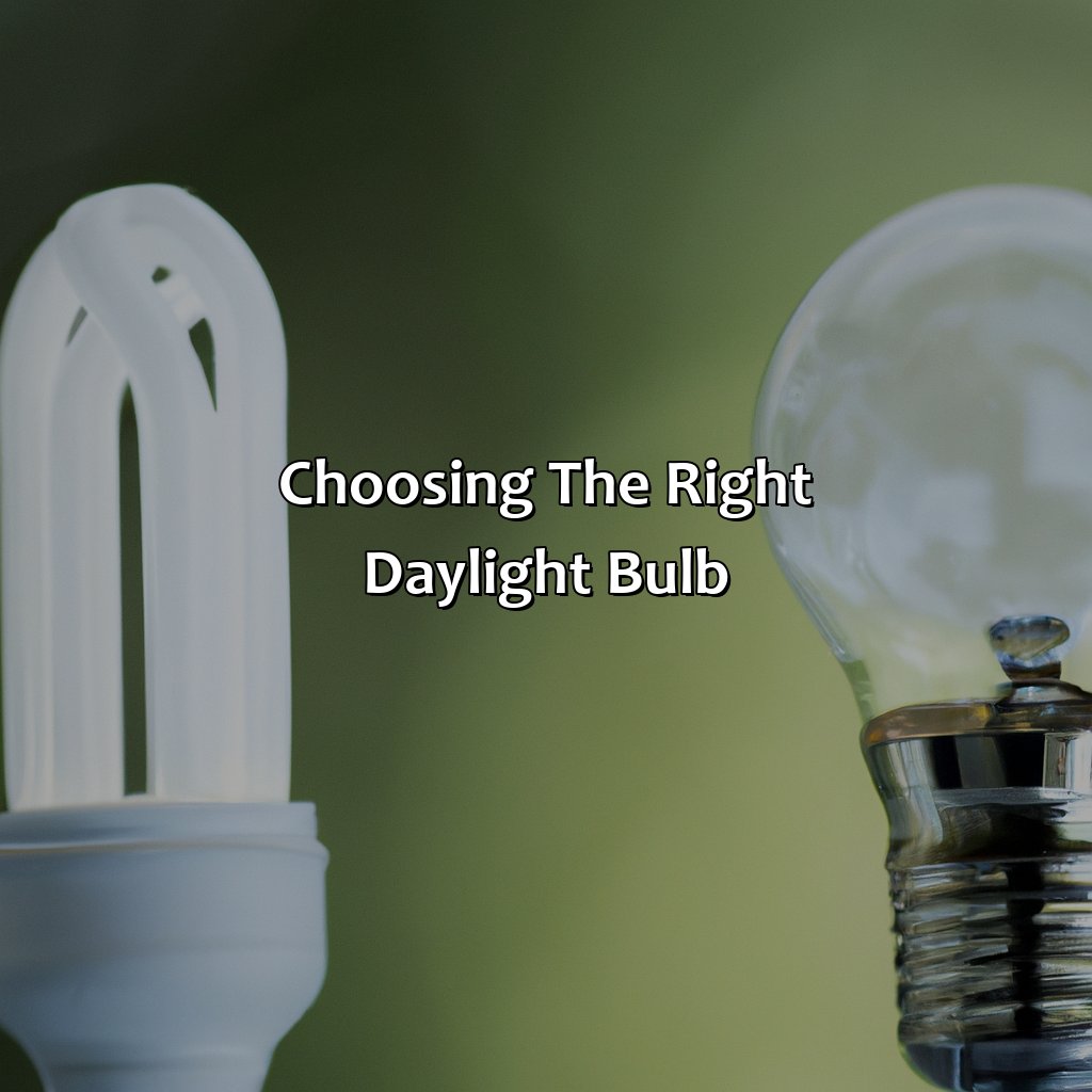 Choosing The Right Daylight Bulb  - What Color Is Daylight Bulb, 