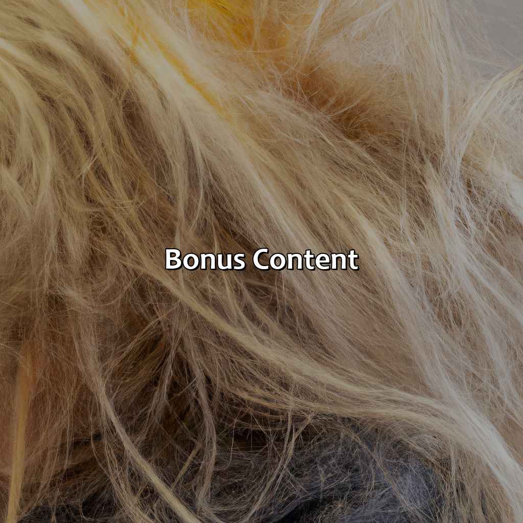 Bonus Content - What Color Is Dirty Blonde Hair, 