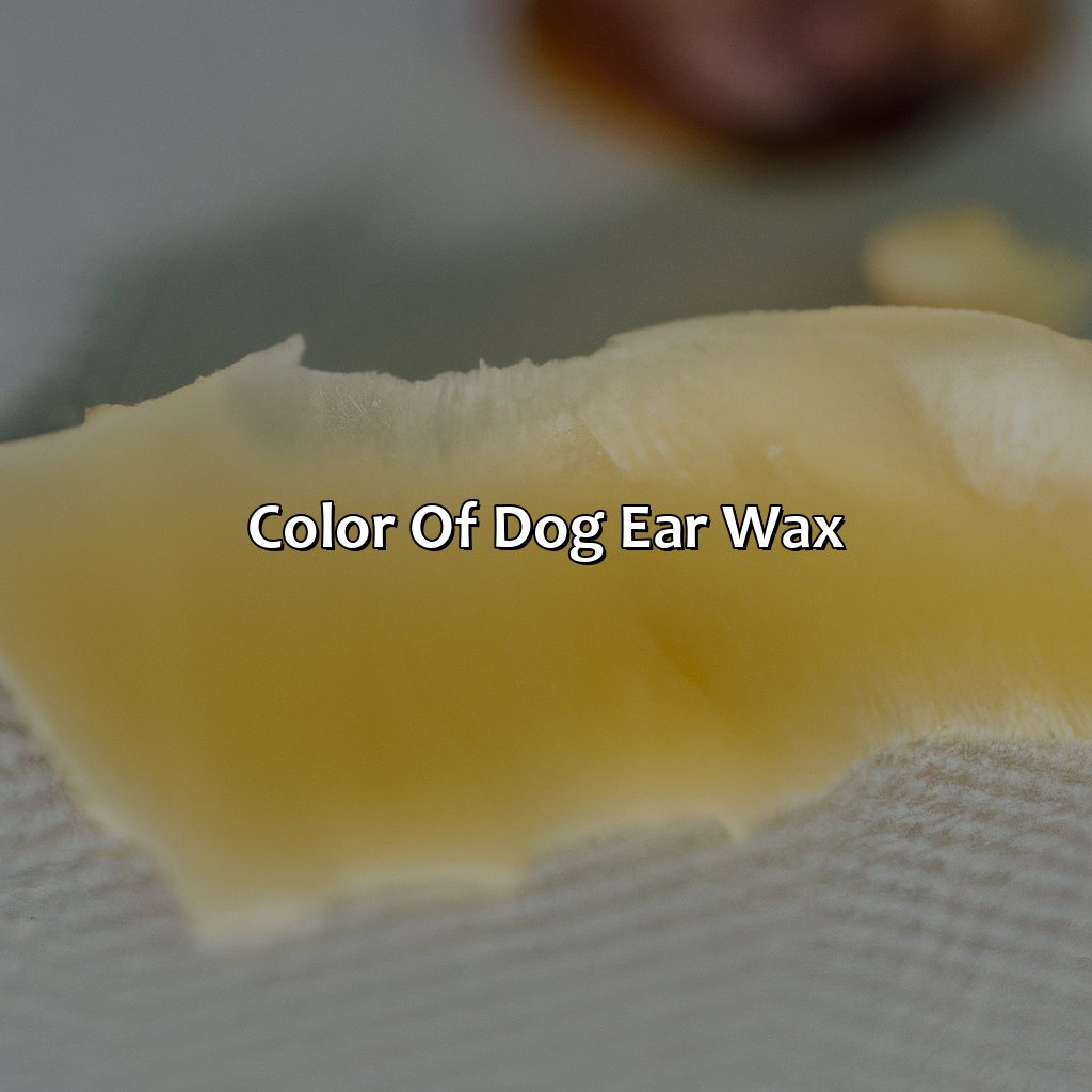 Color Of Dog Ear Wax  - What Color Is Dog Ear Wax, 