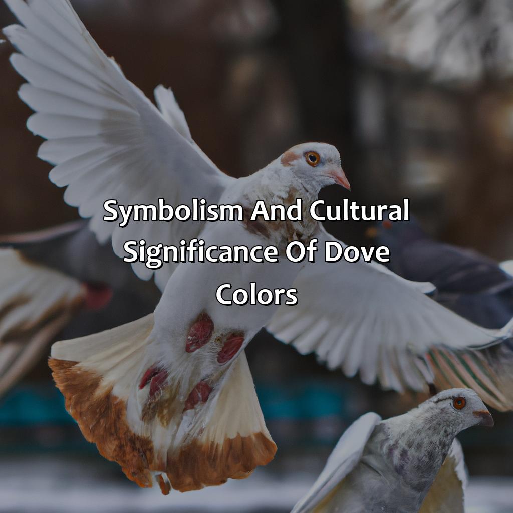 Symbolism And Cultural Significance Of Dove Colors  - What Color Is Dove, 