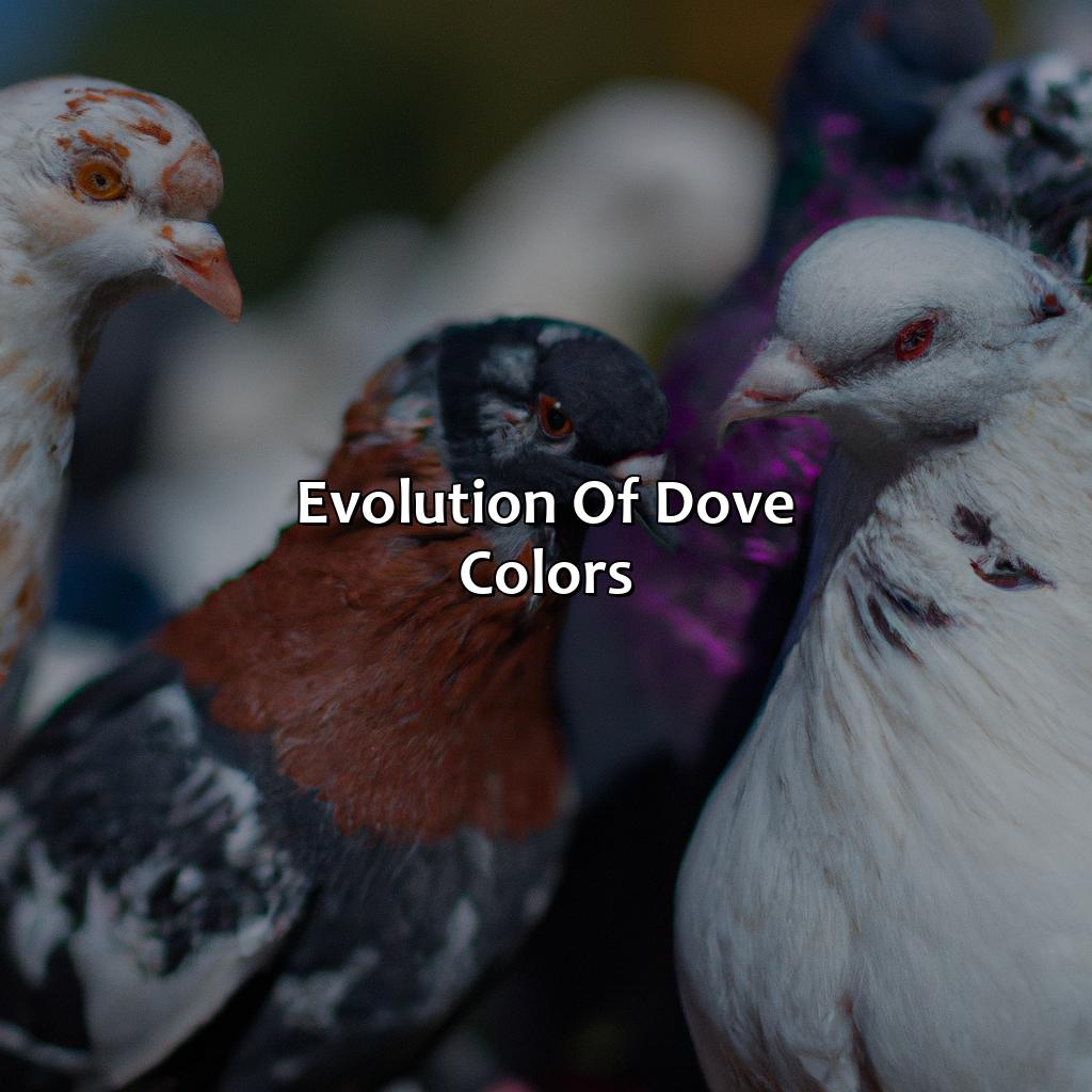Evolution Of Dove Colors  - What Color Is Dove, 