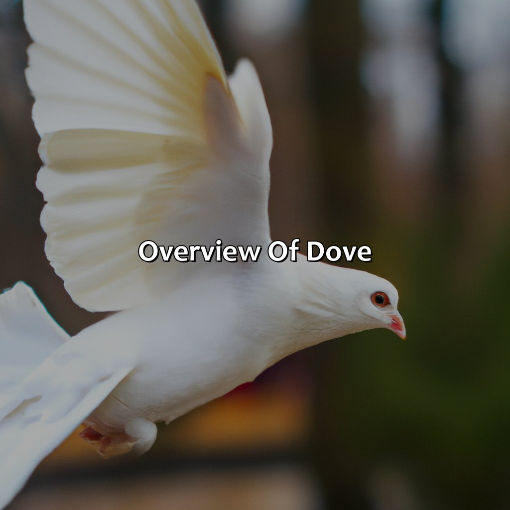 Overview Of Dove  - What Color Is Dove, 