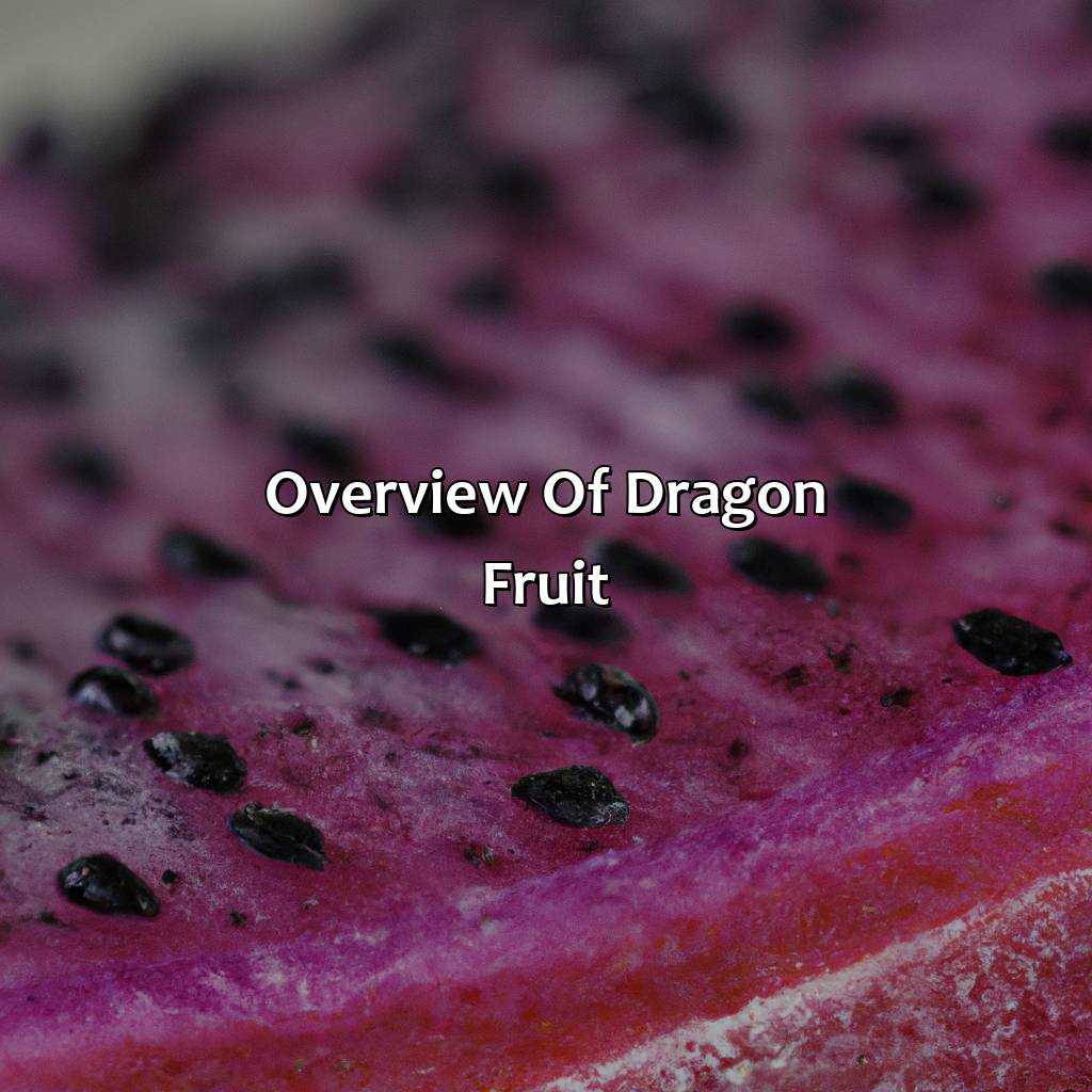 Overview Of Dragon Fruit  - What Color Is Dragon Fruit, 