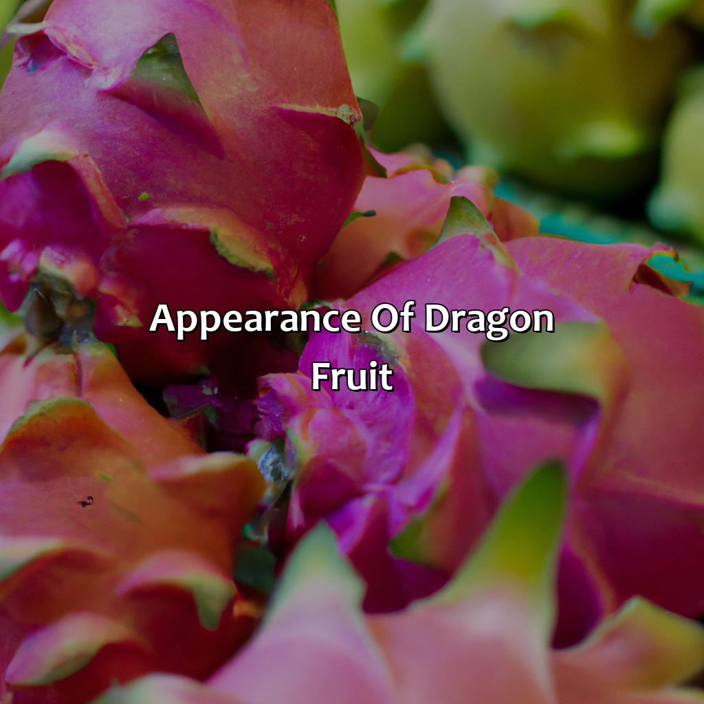 Appearance Of Dragon Fruit  - What Color Is Dragon Fruit, 