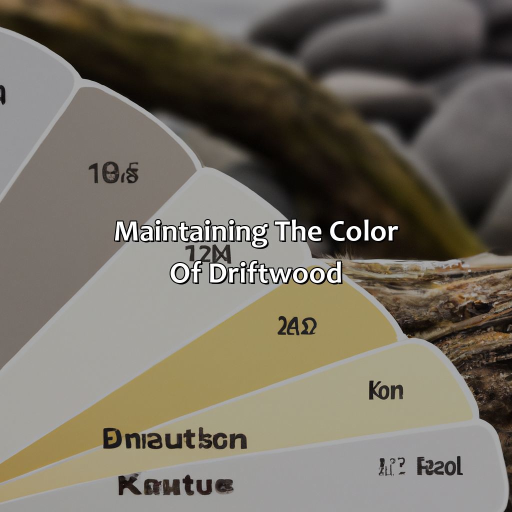 Maintaining The Color Of Driftwood  - What Color Is Driftwood, 