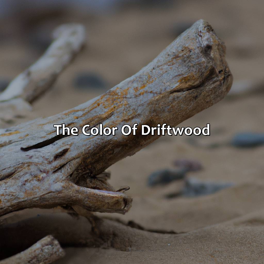 The Color Of Driftwood  - What Color Is Driftwood, 