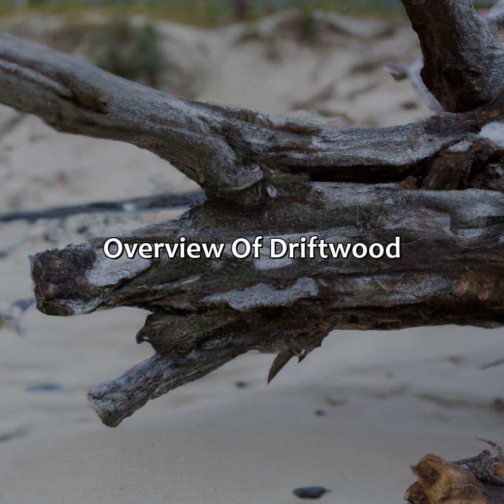 Overview Of Driftwood  - What Color Is Driftwood, 