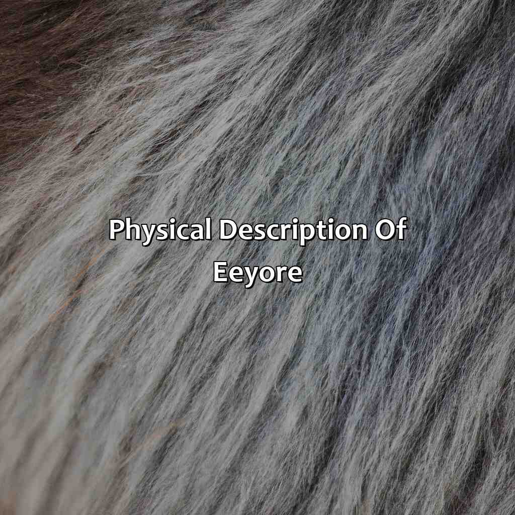 Physical Description Of Eeyore  - What Color Is Eeyore, 