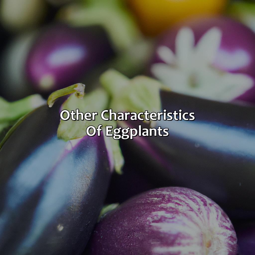Other Characteristics Of Eggplants  - What Color Is Eggplant, 
