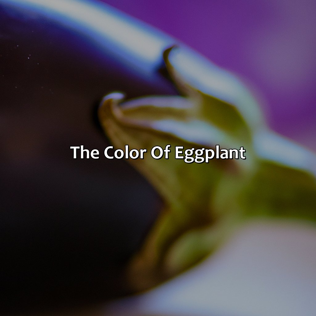 The Color Of Eggplant  - What Color Is Eggplant, 