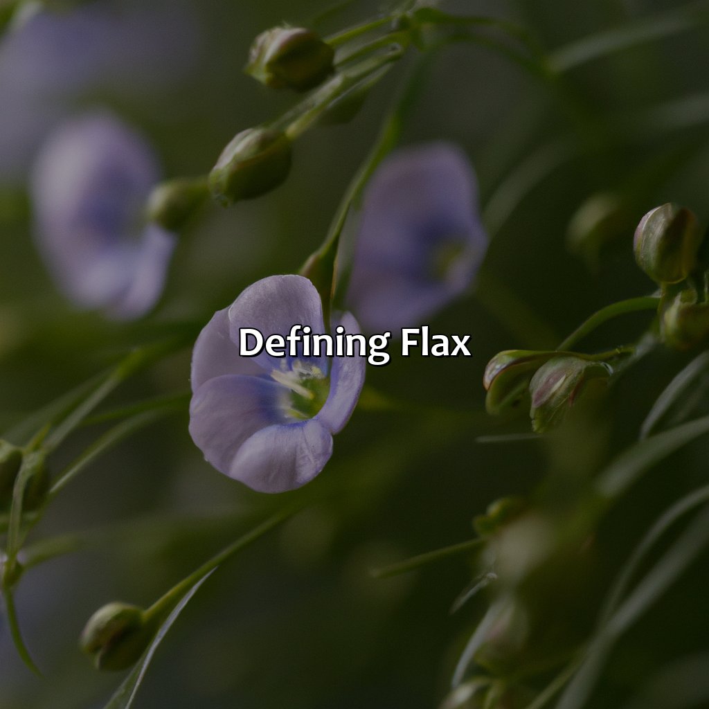 Defining Flax  - What Color Is Flax, 