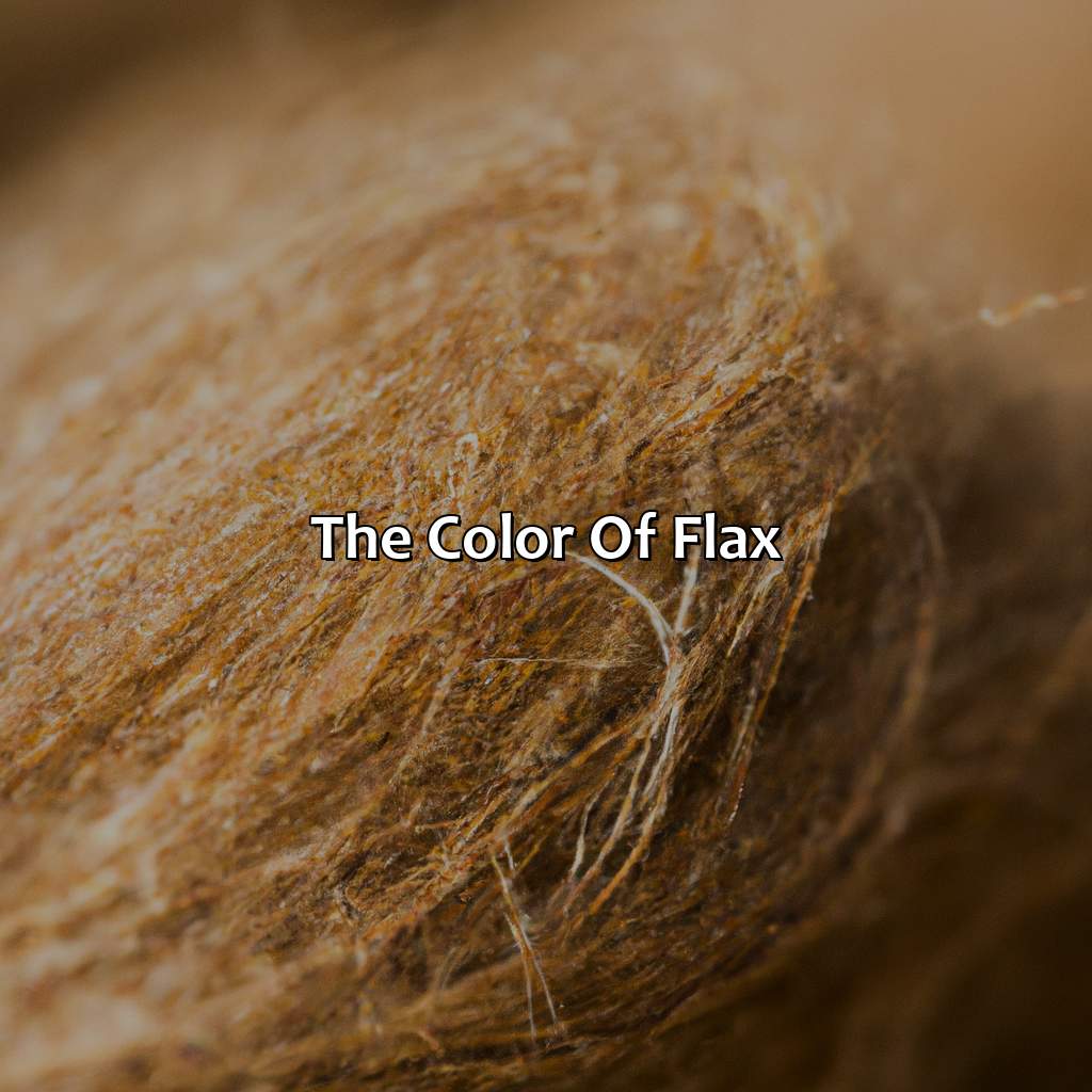 The Color Of Flax  - What Color Is Flax, 