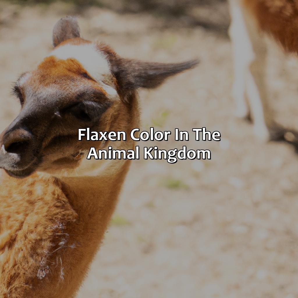 Flaxen Color In The Animal Kingdom  - What Color Is Flaxen, 