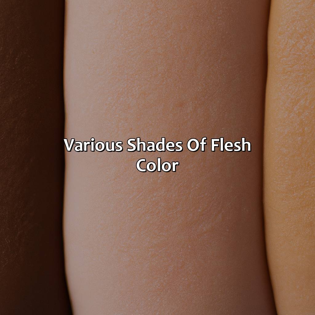Various Shades Of Flesh Color  - What Color Is Flesh, 