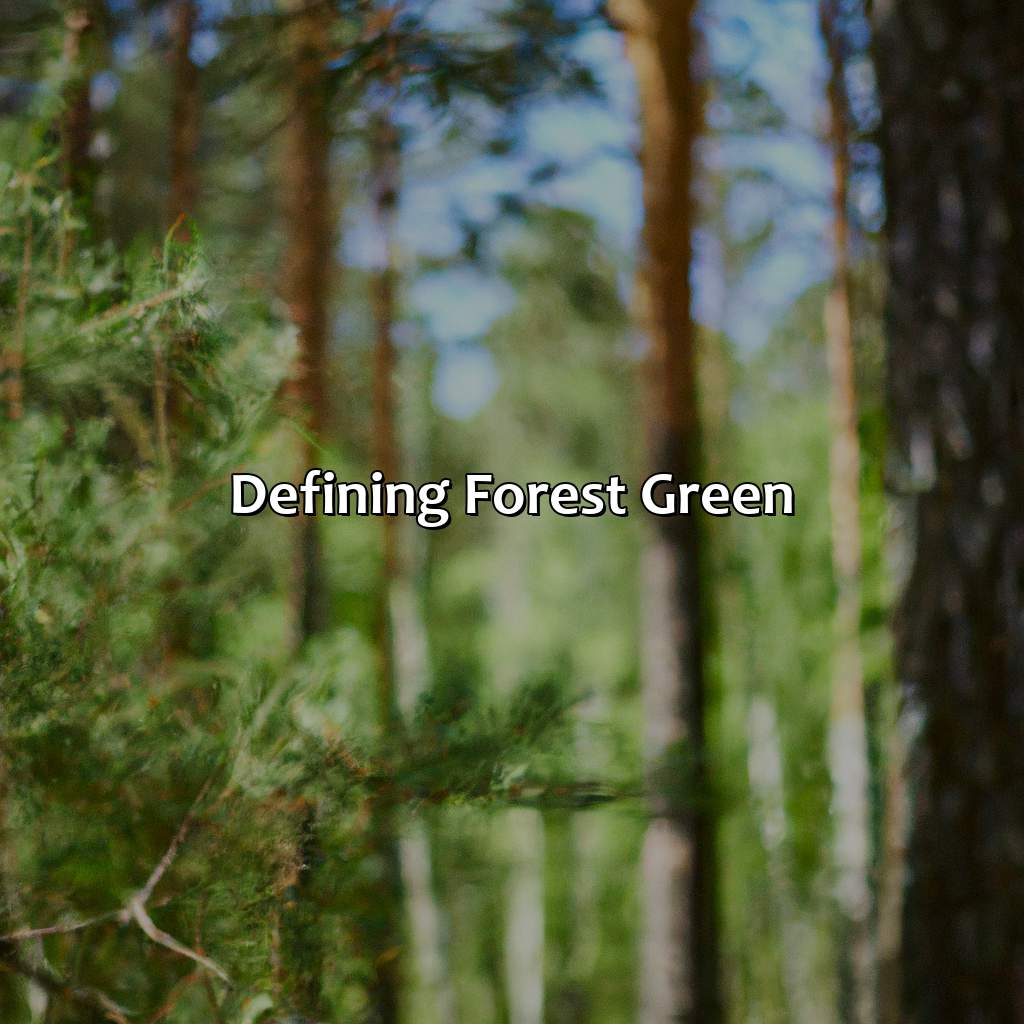 Defining Forest Green  - What Color Is Forest Green, 