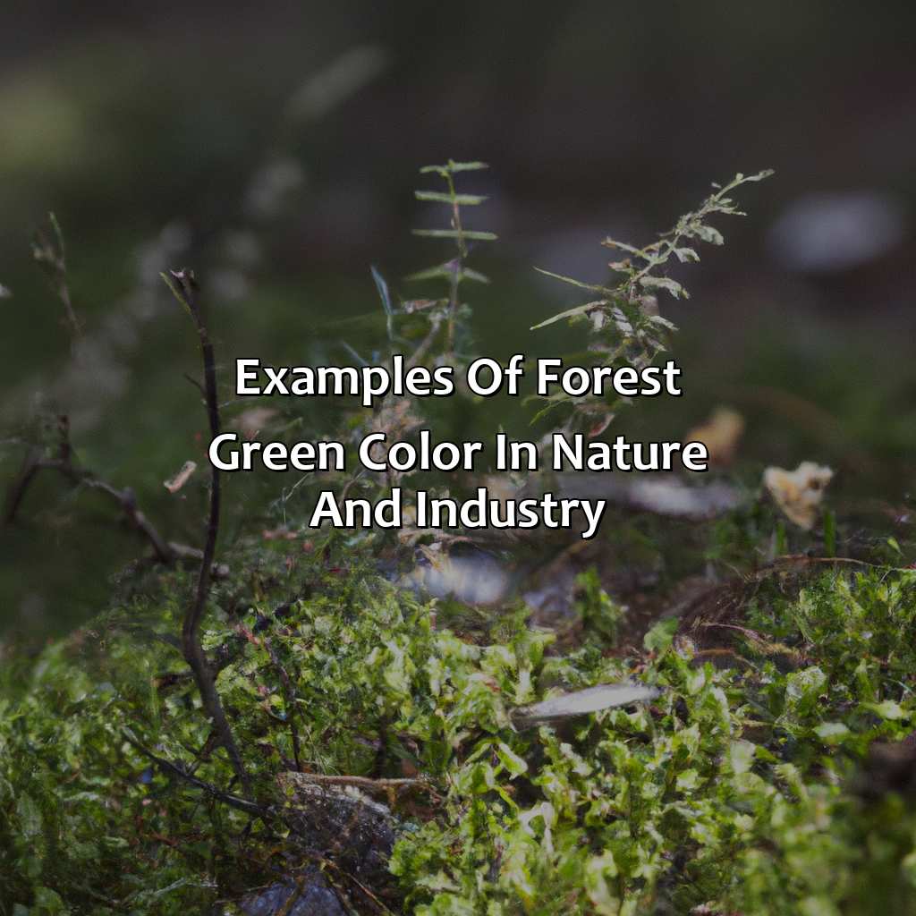 Examples Of Forest Green Color In Nature And Industry  - What Color Is Forest Green, 