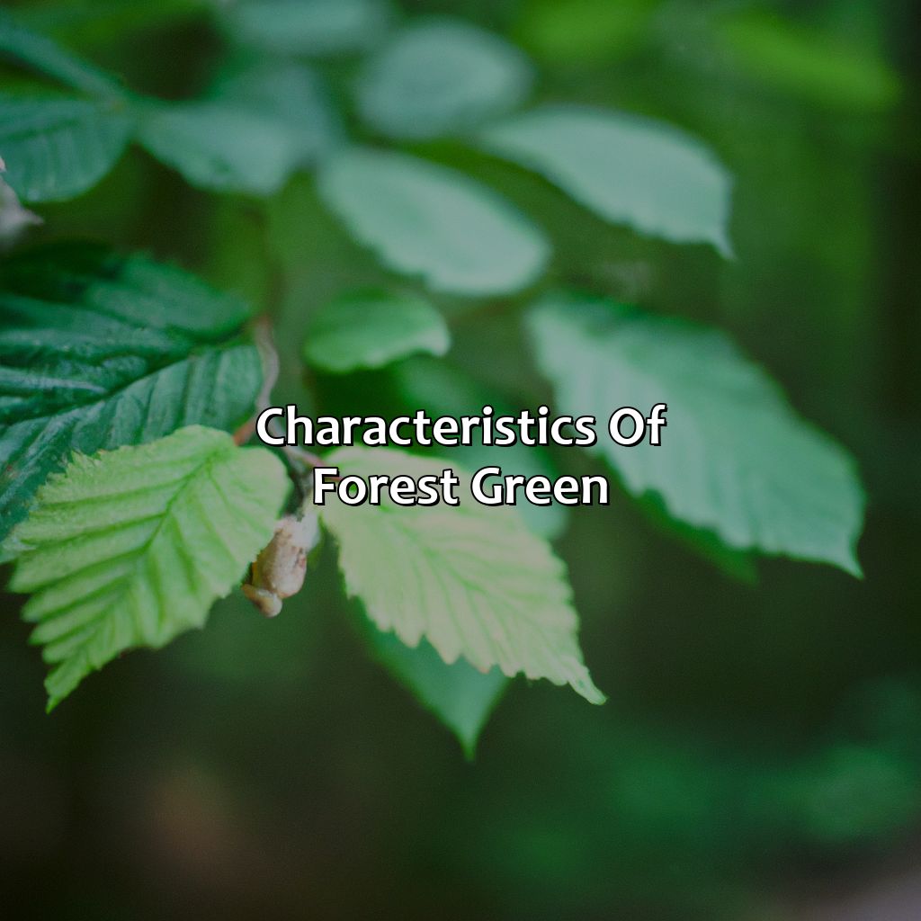 Characteristics Of Forest Green  - What Color Is Forest Green, 